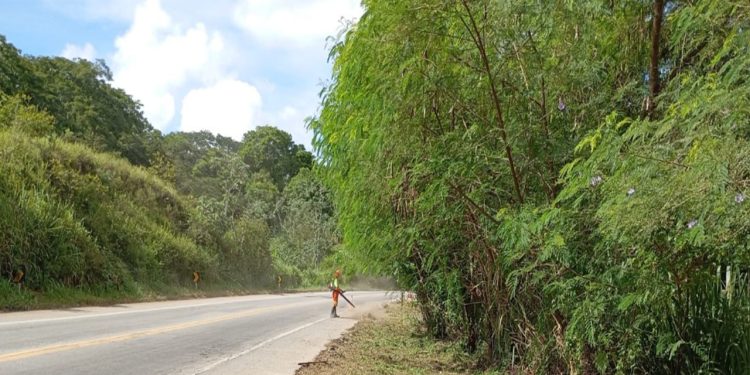 Confira as intervenções na BR-381 para os próximos dias. Continua sistema Pare e Siga em diversos trechos