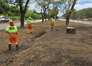 BR-381 terá Pare e Siga para manutenção; confira cronograma