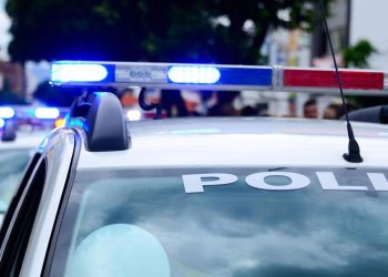 Fuzil 556 e mais de 12 kg de maconha são apreendidos em Valadares