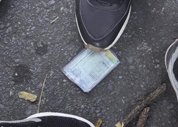 Perdeu documentos durante o Carnaval? Saiba como solicitar a segunda via nos canais oficiais do Governo de Minas