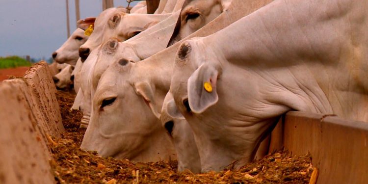 Hub do Agro oferece soluções tecnológicas para produtores rurais