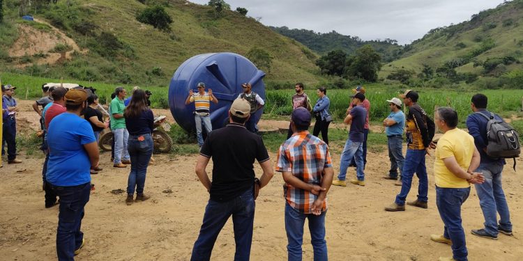 Produtores leiteiros de São João Evangelista participam de visita à fazenda modelo, em Ferros