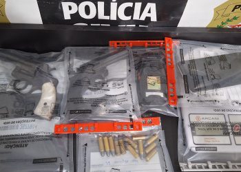 Jovem é preso em flagrante com armas de fogo, durante operação da PC, em Conselheiro Pena