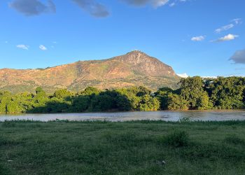Juliano Salgado traz legado do Instituto Terra a evento sobre meio ambiente em Valadares