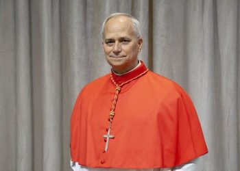 A vida e história de Papa Leão XIV: Robertum Franciscum Prevost