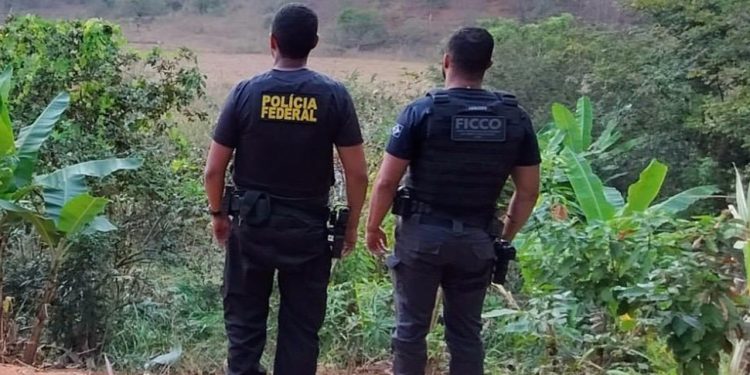 Operação da PF prende dois suspeitos e apreende armas e drogas em Valadares