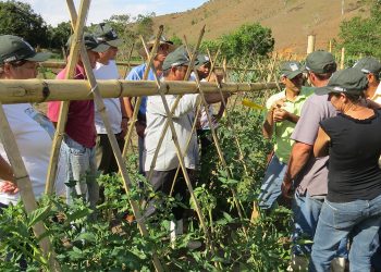 Produtores rurais podem participar de cursos gratuitos de formação profissional no leste de Minas