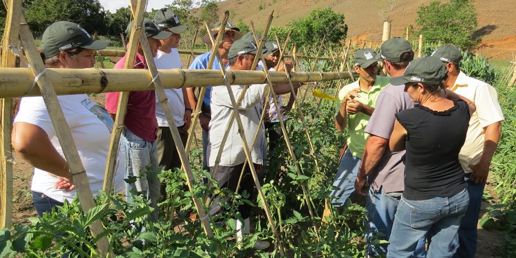 Produtores rurais podem participar de cursos gratuitos de formação profissional no leste de Minas