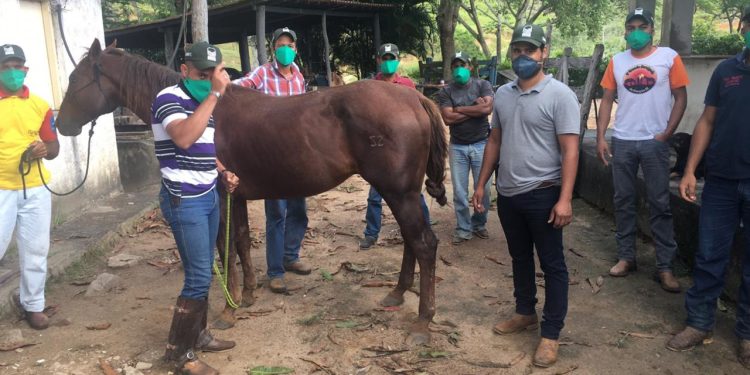 Sistema Faemg Senar oferece 31 capacitações gratuitas no Leste de Minas