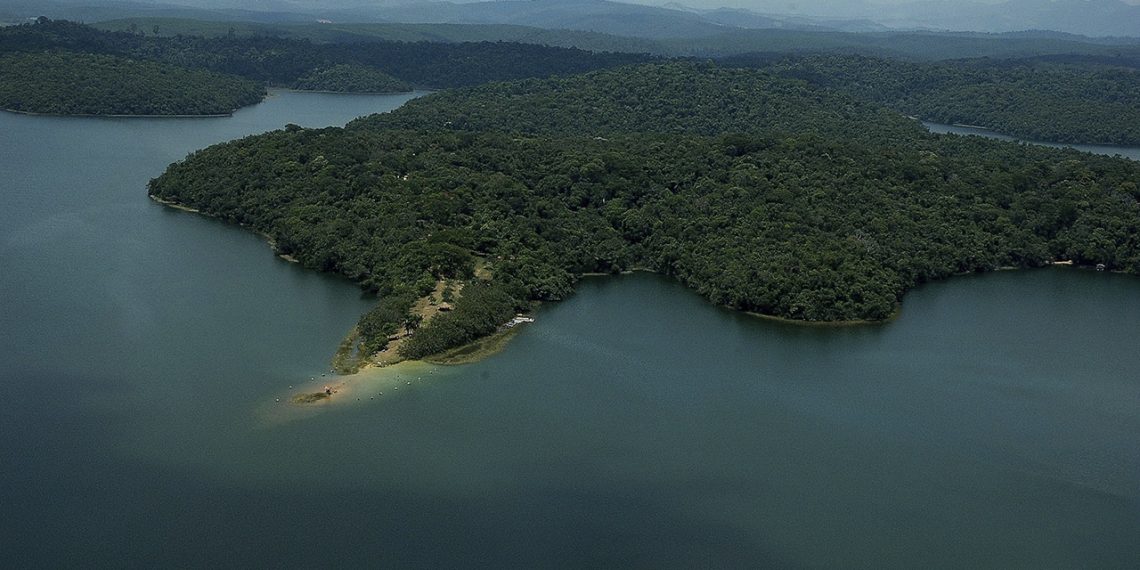 Minas avança no reflorestamento e ultrapassa 70% da meta de restauração da Mata Atlântica