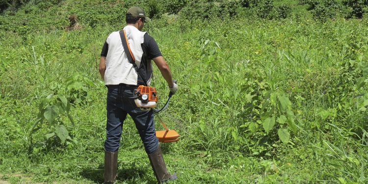 Sistema Faemg Senar oferece 33 cursos gratuitos em 28 cidades do Leste de Minas