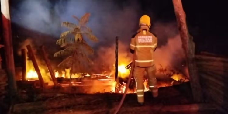 Incêndio destrói postes de eucalipto, em madeireira próxima à cidade de Capelinha