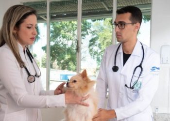 Clínica veterinária universitária em Valadares oferece atendimento 24 horas