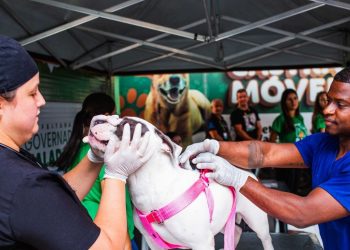 Programa Pet Saúde GV é lançado em Governador Valadares