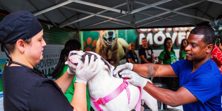 Programa Pet Saúde GV é lançado em Governador Valadares