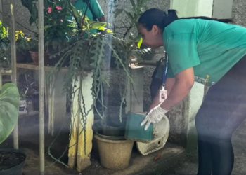 Primeiro LIRAa 2026 aponta risco alto para infestação do Aedes em Ipatinga