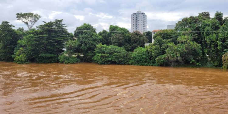 Nível do Rio Doce começa a baixar, em Governador Valadares