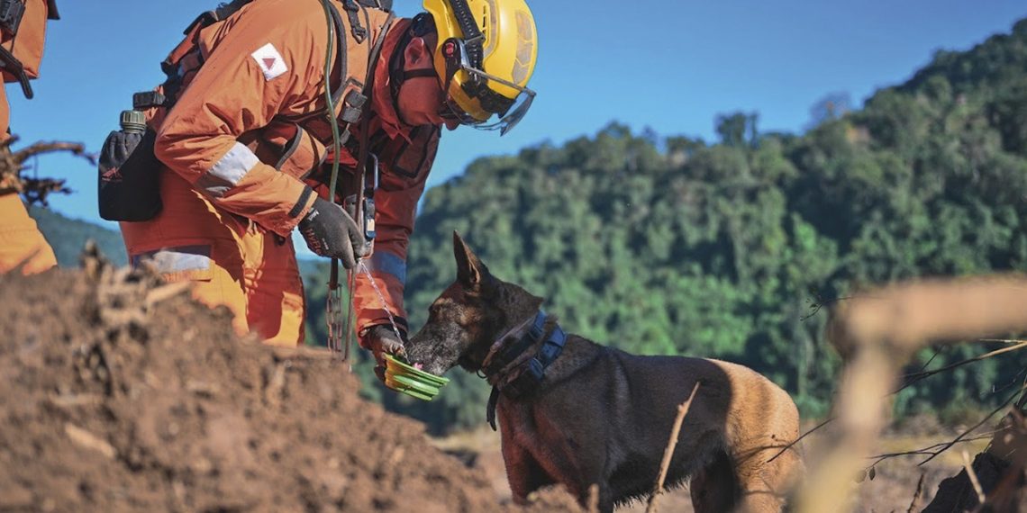 Corpo de Bombeiros abre 342 vagas em concurso público com salários que podem chegar a R$ 11 mil