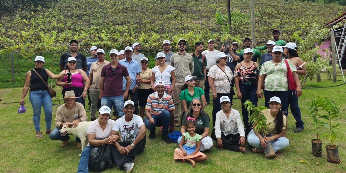 Abertas as inscrições para o Projeto Frutificar, voltado à produtores rurais, em Valadares