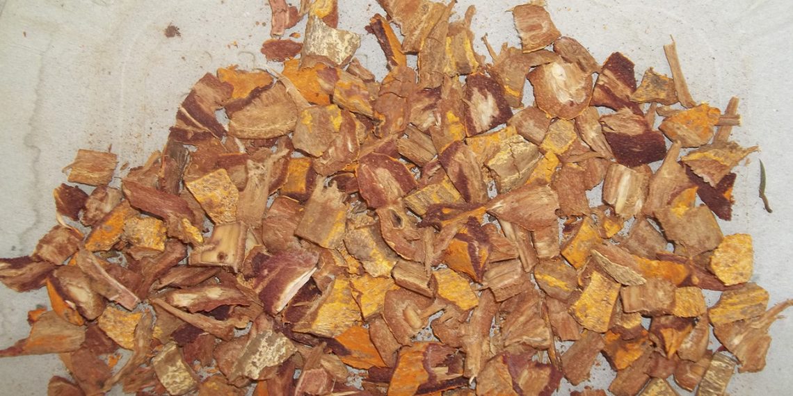 Sistema Faemg Senar oferece 38 cursos gratuitos de formação profissional rural, no Leste de Minas