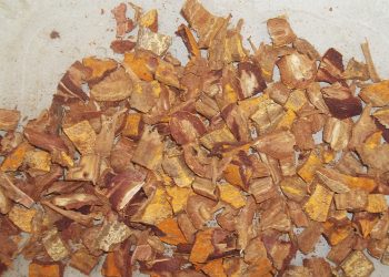 Sistema Faemg Senar oferece 38 cursos gratuitos de formação profissional rural, no Leste de Minas