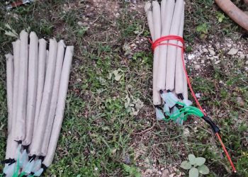 Idoso é preso com 34 explosivos em uma fazenda, em Conselheiro Pena