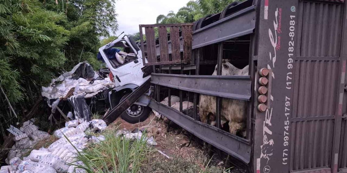 Motorista morre e outro fica ferido em acidente na BR-116, em Jampruca