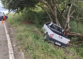 Idosa morre após bater o carro contra uma árvore, em Nova Módica