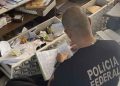 Polícia Federal faz busca e apreensão em endereço de investigado por promoção de migração ilegal aos EUA, em Valadares