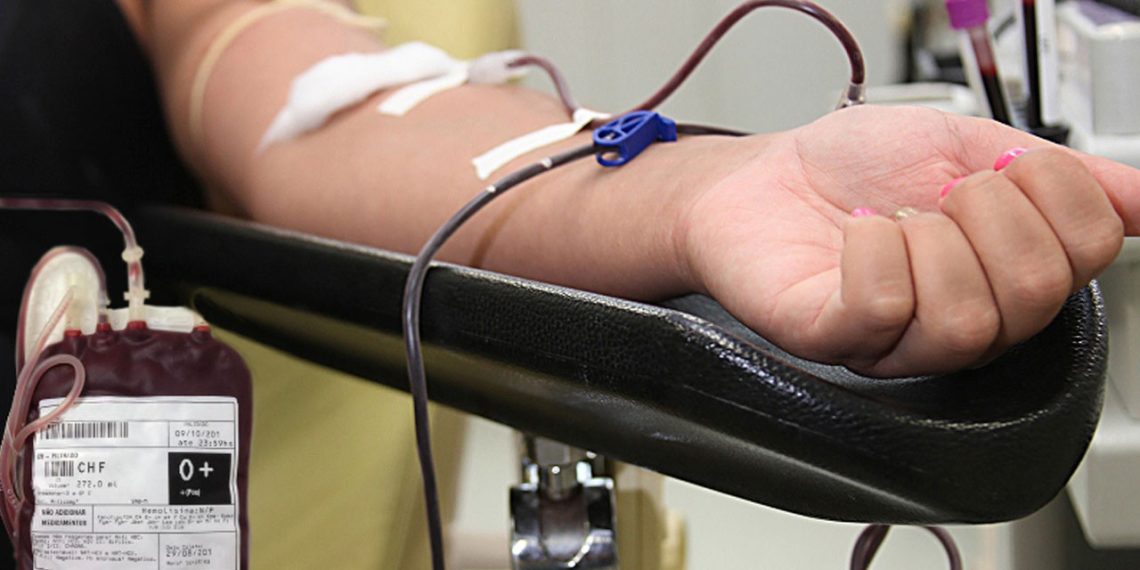 Fundação Hemominas atualiza orientações para doação de sangue; mudanças impactam usuários de medicamentos e anabolizantes
