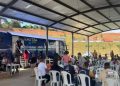 Abertas as inscrições para castração gratuita de cães e gatos, em Santana do Paraíso