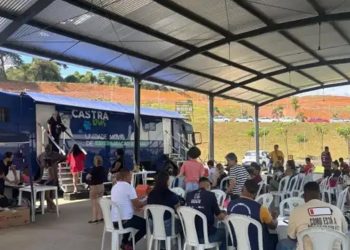 Abertas as inscrições para castração gratuita de cães e gatos, em Santana do Paraíso