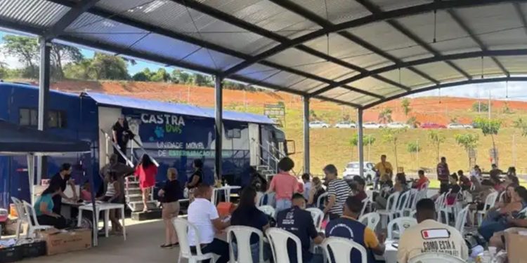 Abertas as inscrições para castração gratuita de cães e gatos, em Santana do Paraíso