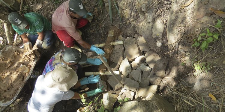 Sistema Faemg Senar promove capacitações gratuitas para produtores rurais do Vale do Aço