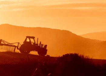 OAB Valadares promove painel sobre segurança jurídica e oportunidades no agronegócio na Expoagro GV