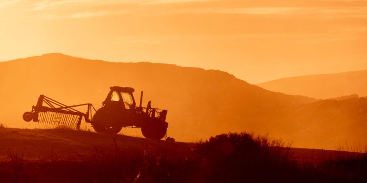 OAB Valadares promove painel sobre segurança jurídica e oportunidades no agronegócio na Expoagro GV