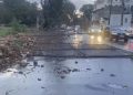 Tempestade provoca queda de árvores e deixa bairros sem energia elétrica, em Valadares