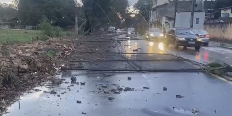 Tempestade provoca queda de árvores e deixa bairros sem energia elétrica, em Valadares