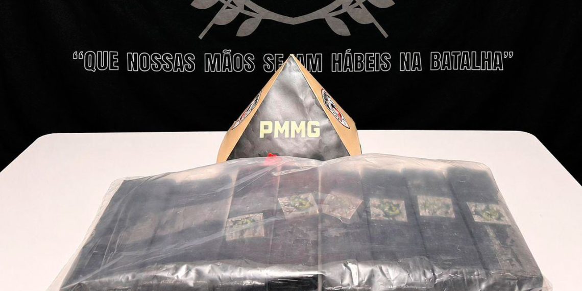 Polícia apreende drogas escondidas enterradas em loteamento