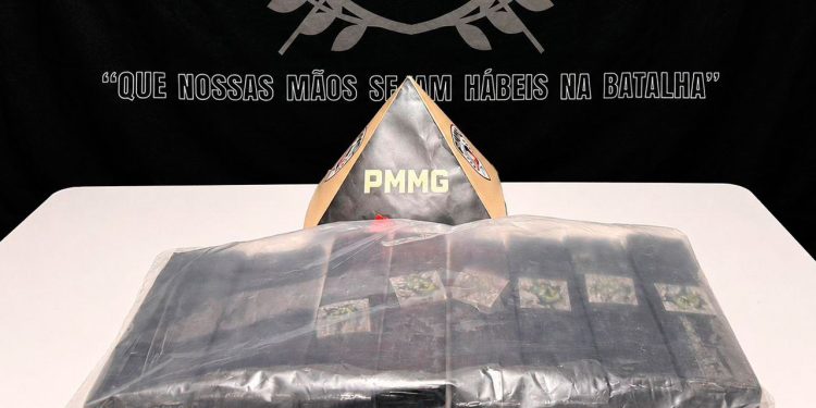Polícia apreende drogas escondidas enterradas em loteamento
